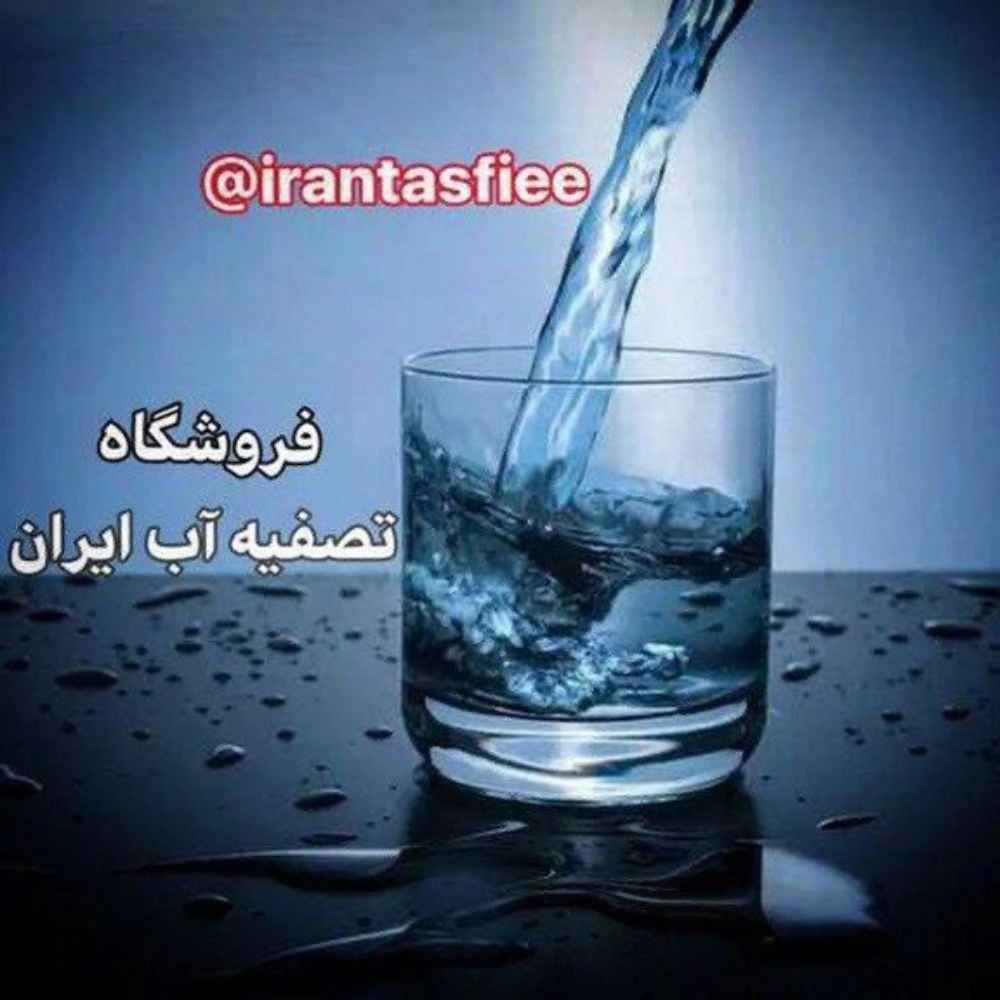 1734508354763.webp