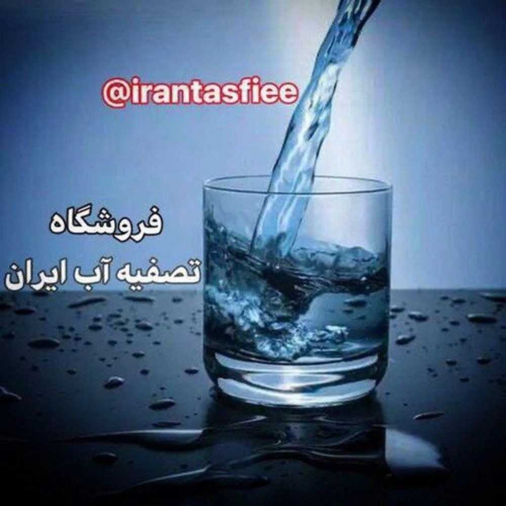 1734508354763.webp
